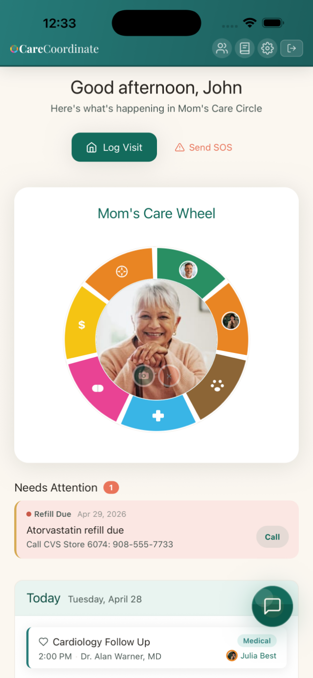 iPhone: the dashboard and the Care Wheel